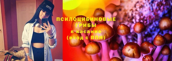 таблы Алексин