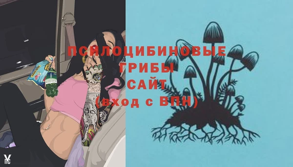 таблы Алексин