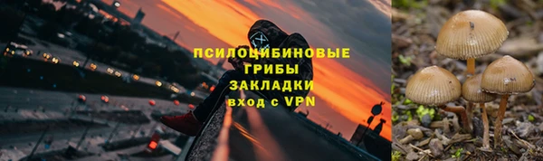 таблы Алексин