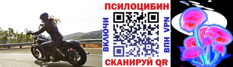Псилоцибиновые грибы Psilocybe купить закладку Анжеро-Судженск